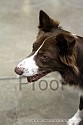 img_5977_thm.jpg