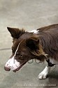 img_5978_thm.jpg