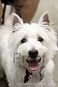 img_5984_thm.jpg