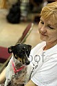 img_6045_thm.jpg