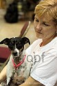 img_6046_thm.jpg