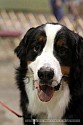 img_6316_thm.jpg