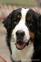 img_6317_thm.jpg