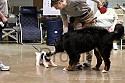 img_6330_thm.jpg