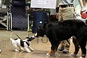 img_6331_thm.jpg