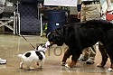 img_6332_thm.jpg