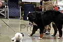img_6333_thm.jpg