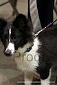 img_6403_thm.jpg