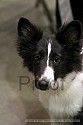 img_6404_thm.jpg