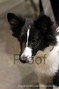 img_6405_thm.jpg