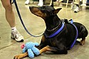 img_6609_thm.jpg