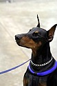 img_6615_thm.jpg