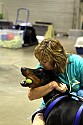 img_6627_thm.jpg