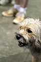 img_6681_thm.jpg