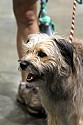 img_6684_thm.jpg