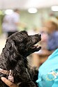 img_6699_thm.jpg