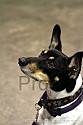 img_6756_thm.jpg