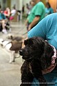 img_6826_thm.jpg