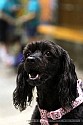 img_6833_thm.jpg
