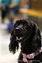 img_6834_thm.jpg