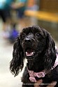img_6835_thm.jpg
