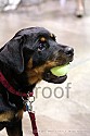 img_6839_thm.jpg