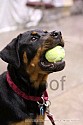 img_6840_thm.jpg