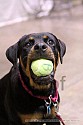 img_6841_thm.jpg