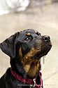 img_6843_thm.jpg