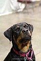 img_6845_thm.jpg