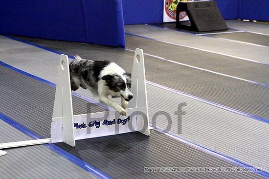 MCRD Unplugged Flyball Tournement<br />March 20th, 2010