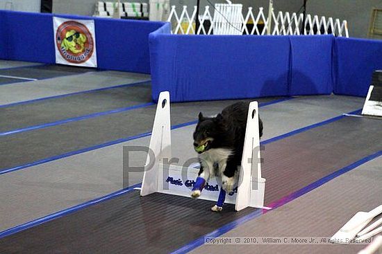 MCRD Unplugged Flyball Tournement<br />March 20th, 2010