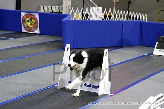 MCRD Unplugged Flyball Tournement<br />March 20th, 2010