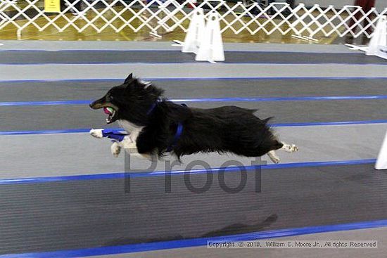 MCRD Unplugged Flyball Tournement<br />March 20th, 2010