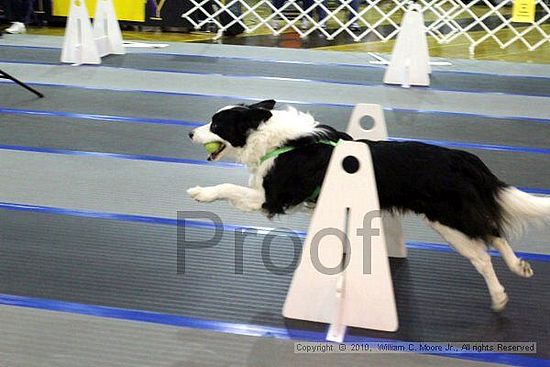 MCRD Unplugged Flyball Tournement<br />March 20th, 2010