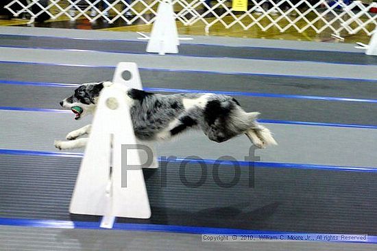 MCRD Unplugged Flyball Tournement<br />March 20th, 2010