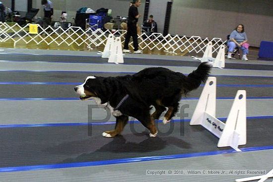 MCRD Unplugged Flyball Tournement<br />March 20th, 2010