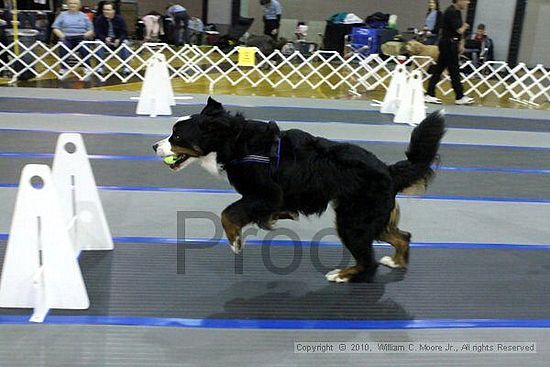 MCRD Unplugged Flyball Tournement<br />March 20th, 2010