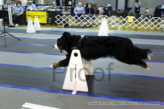 MCRD Unplugged Flyball Tournement<br />March 20th, 2010