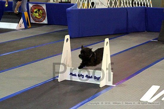 MCRD Unplugged Flyball Tournement<br />March 20th, 2010