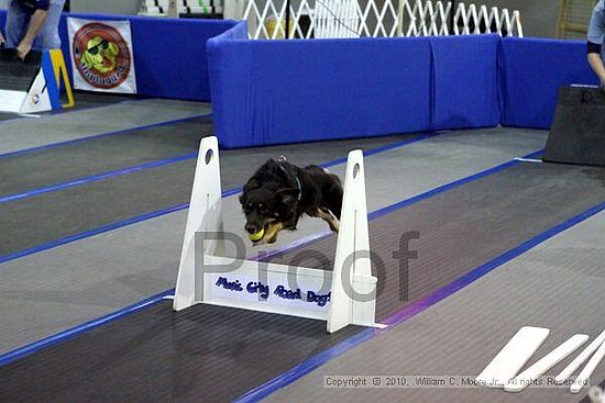 MCRD Unplugged Flyball Tournement<br />March 20th, 2010