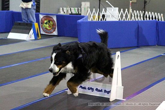 MCRD Unplugged Flyball Tournement<br />March 20th, 2010