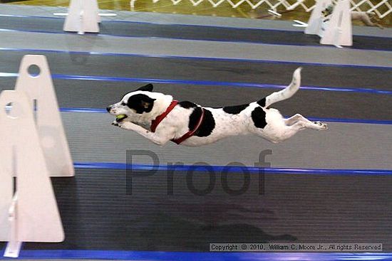 MCRD Unplugged Flyball Tournement<br />March 20th, 2010