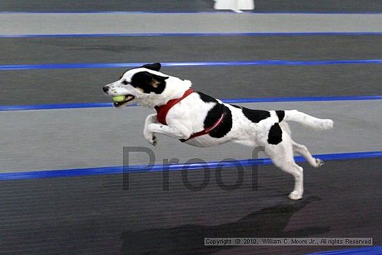 MCRD Unplugged Flyball Tournement<br />March 20th, 2010