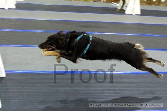 MCRD Unplugged Flyball Tournement<br />March 20th, 2010