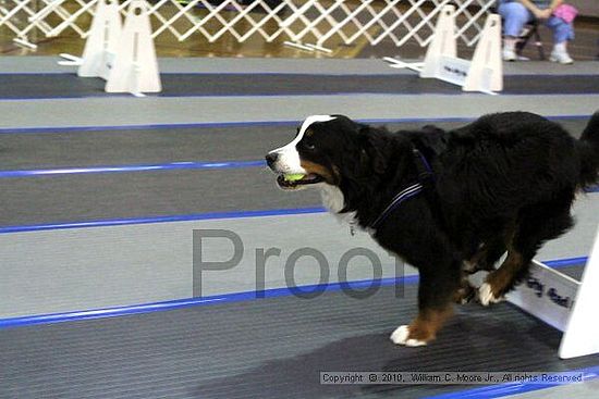 MCRD Unplugged Flyball Tournement<br />March 20th, 2010