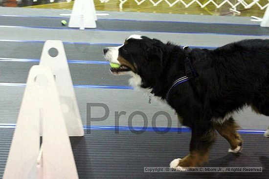 MCRD Unplugged Flyball Tournement<br />March 20th, 2010