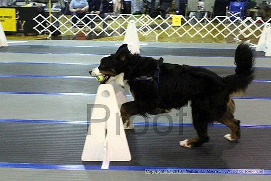 MCRD Unplugged Flyball Tournement<br />March 20th, 2010