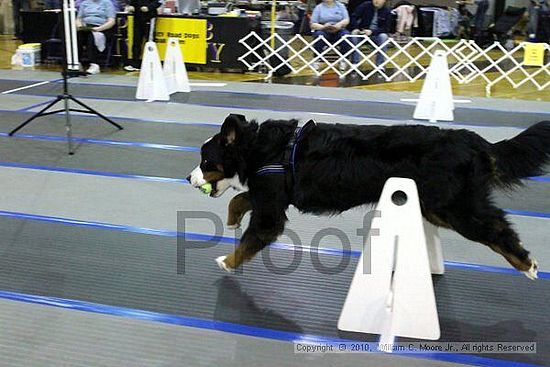 MCRD Unplugged Flyball Tournement<br />March 20th, 2010