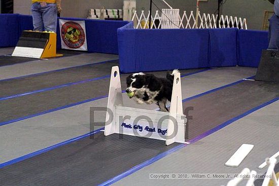 MCRD Unplugged Flyball Tournement<br />March 20th, 2010